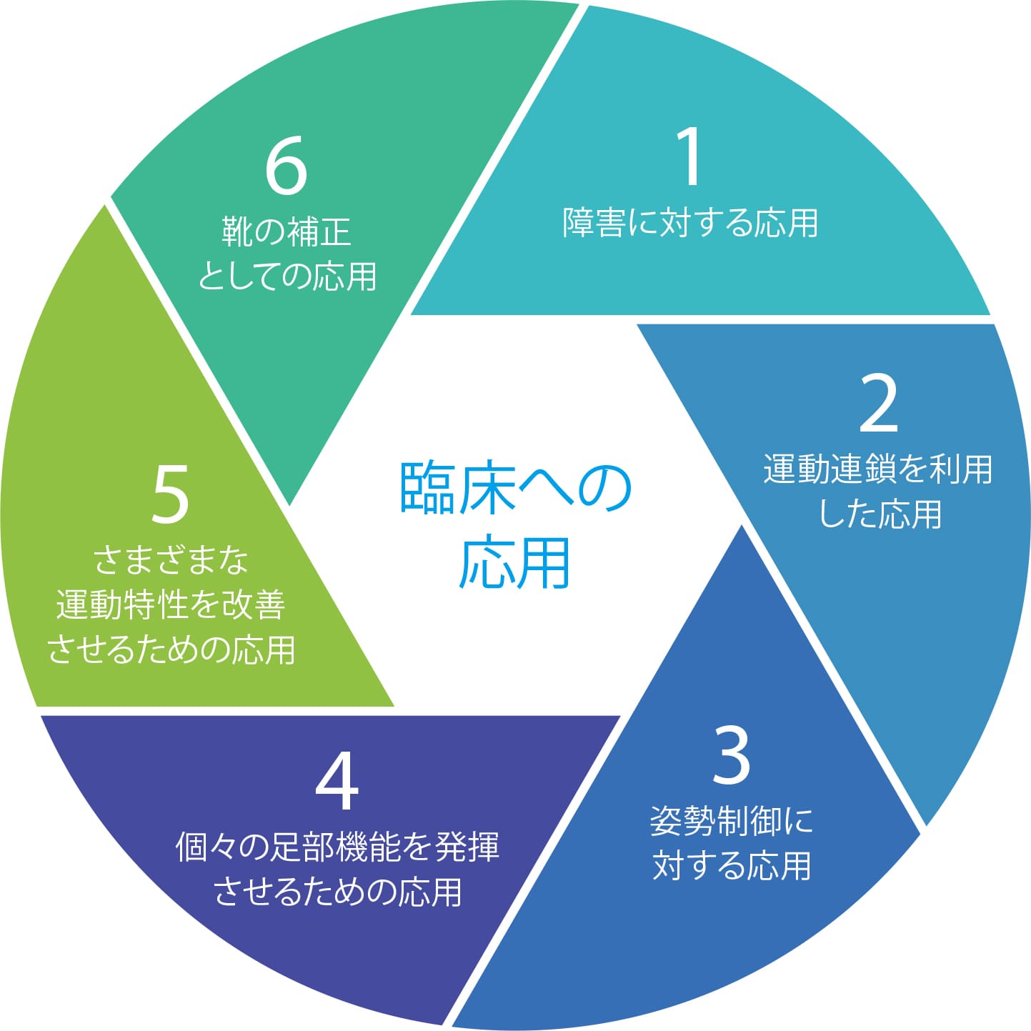 入谷式インソールの臨床への応用